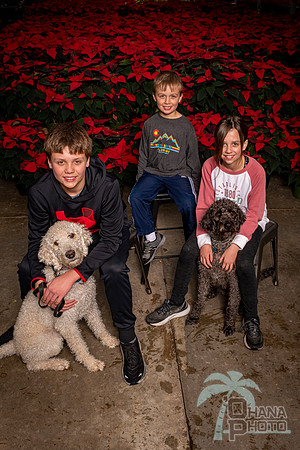 SantaPaws2022-341