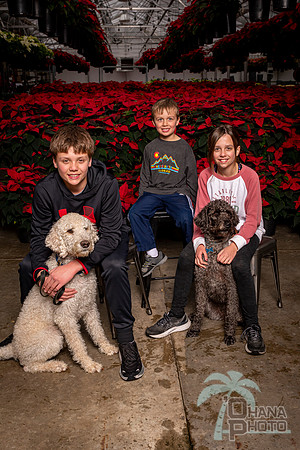 SantaPaws2022-339