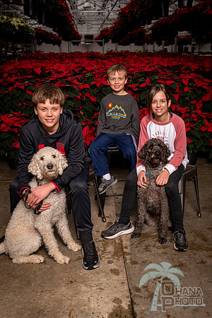 SantaPaws2022-338