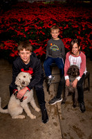 SantaPaws2022-342