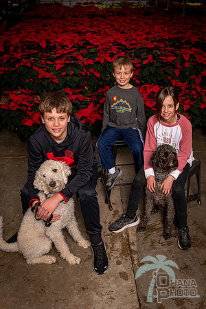 SantaPaws2022-342
