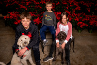SantaPaws2022-343