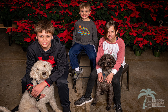 SantaPaws2022-343