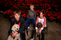 SantaPaws2022-344
