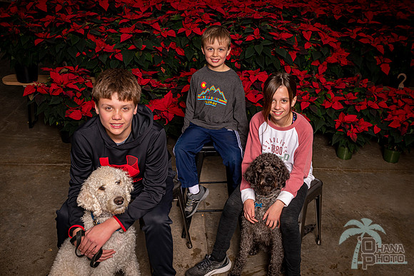 SantaPaws2022-344