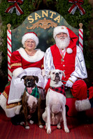SantaPaws2022-432