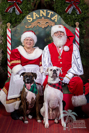 SantaPaws2022-432