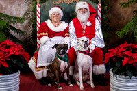 SantaPaws2022-430