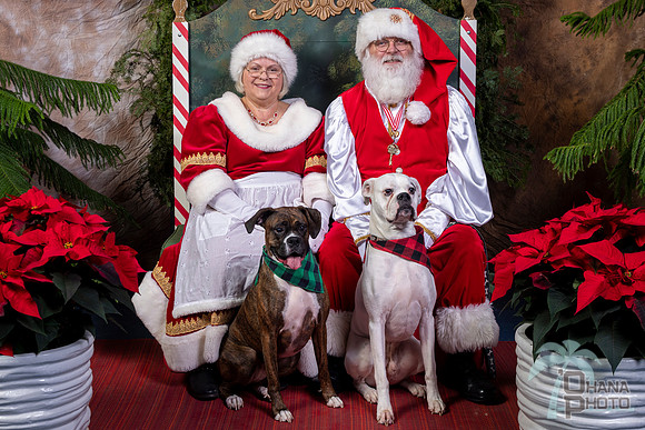SantaPaws2022-430