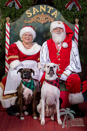 SantaPaws2022-433