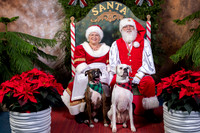 SantaPaws2022-431
