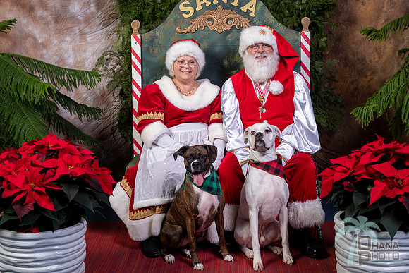 SantaPaws2022-429