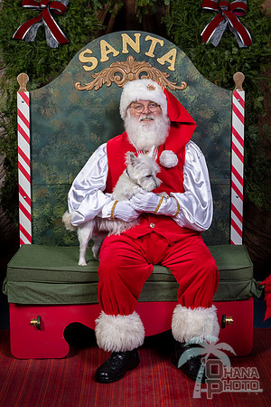 SantaPaws2022-445