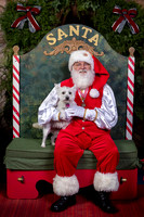 SantaPaws2022-446
