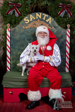 SantaPaws2022-446