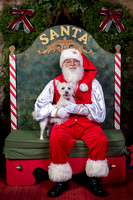 SantaPaws2022-443