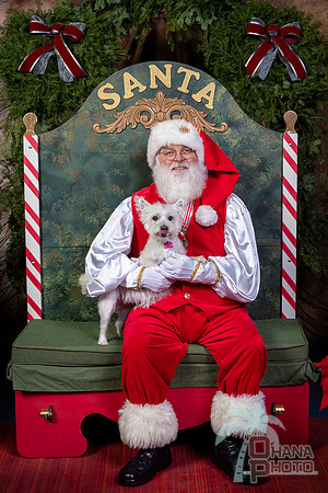 SantaPaws2022-443