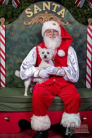 SantaPaws2022-444