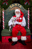 SantaPaws2022-447