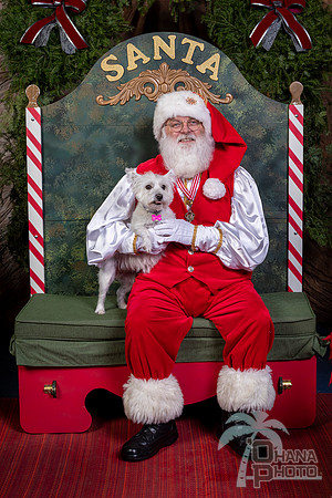 SantaPaws2022-447