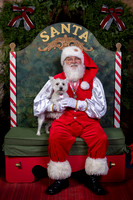 SantaPaws2022-448