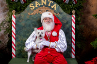 SantaPaws2022-449