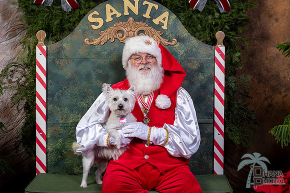 SantaPaws2022-449
