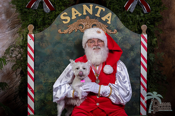 SantaPaws2022-450