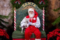 SantaPaws2022-451