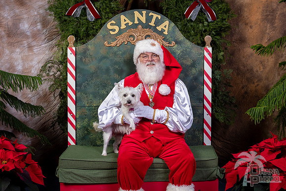 SantaPaws2022-451