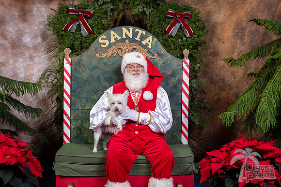 SantaPaws2022-452
