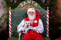 SantaPaws2022-453