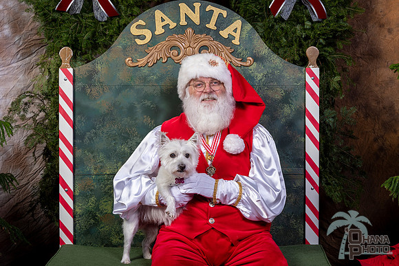 SantaPaws2022-453