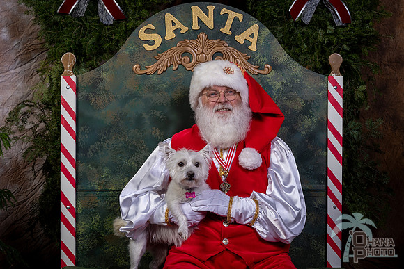 SantaPaws2022-455