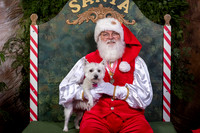 SantaPaws2022-454