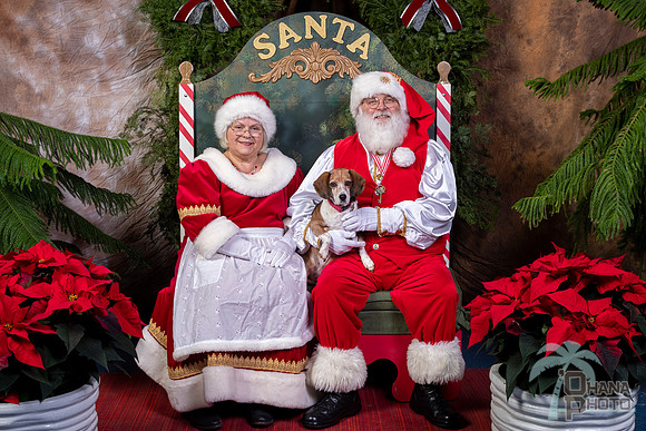 SantaPaws2022-456