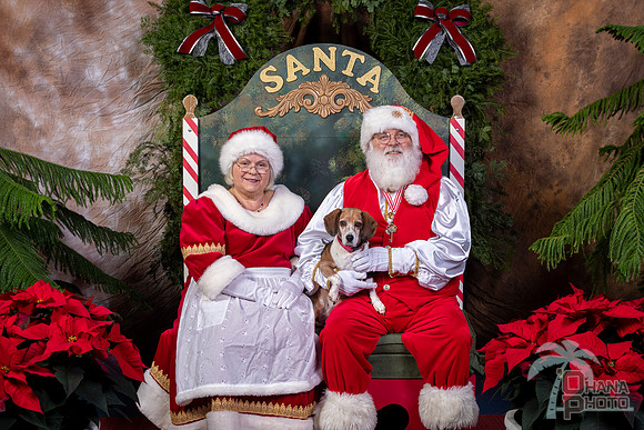 SantaPaws2022-457
