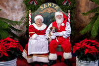 SantaPaws2022-458