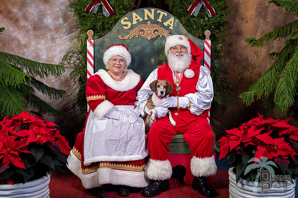 SantaPaws2022-458