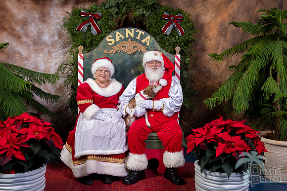 SantaPaws2022-459