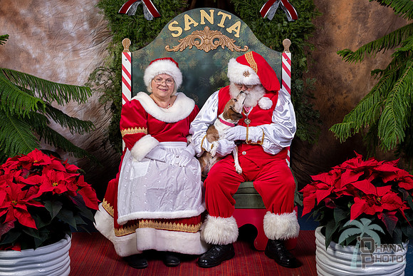 SantaPaws2022-460