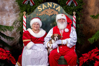 SantaPaws2022-462