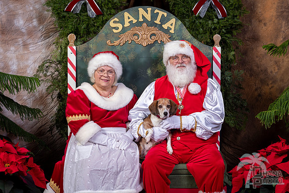SantaPaws2022-462