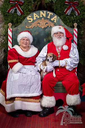 SantaPaws2022-463