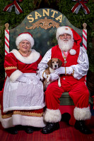 SantaPaws2022-465