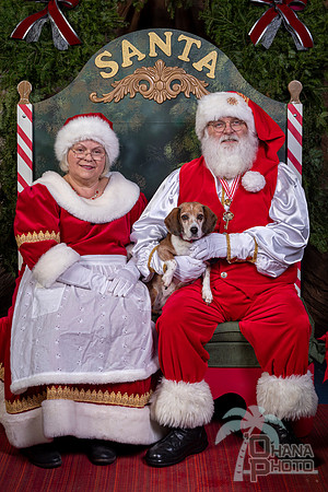 SantaPaws2022-465
