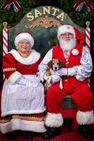 SantaPaws2022-464