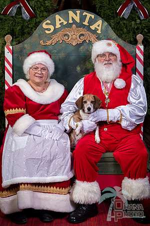 SantaPaws2022-464