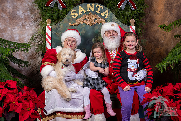 SantaPaws2022-526