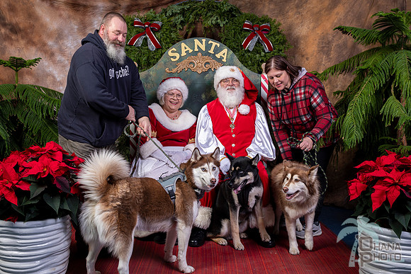 SantaPaws2022-498